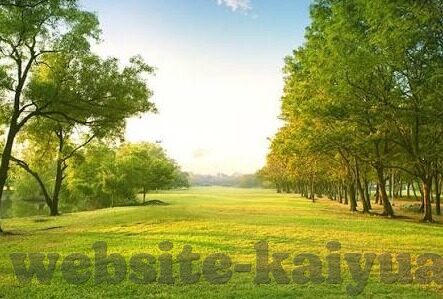 kaiyun平台官网登录-总的来说不论何时何地只要你能有网络基础设施你就可以登录KaYIELD平台享受它带来的无限惊喜吧