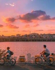水果机什么牌子的好-水果机什么牌子的好